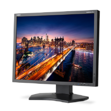 NEC 21'' P212-BK LCD Bk/Bk ( 24/7; IPS; 4:3; 440cd/m2; 1500:1; 8ms; 1600x1200; 178/178; D-sub; DVI-D; HDMI; DP; USB; HAS 150 mm; Swiv 45/45; Tilt; Pivot; Spk 2х1W )