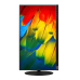 Lenovo ThinkVision T24m-10 23,8