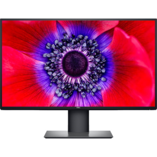 Dell 25